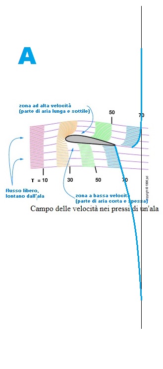 [Immagine: 2014127172516_mia teoria a.jpg]